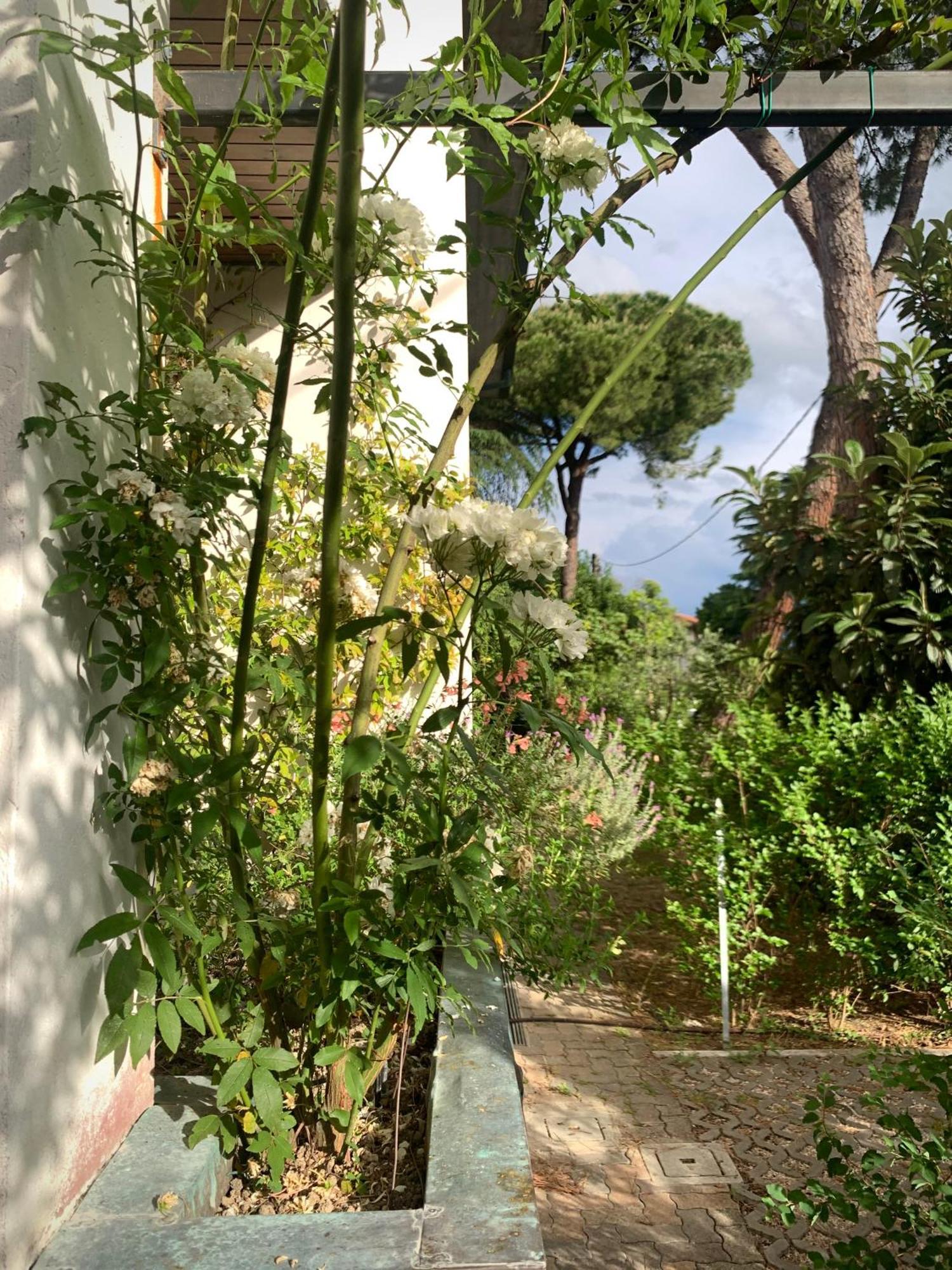 SantʼArcangelo di Romagna Beau Rivage - Room Studio In Villa מראה חיצוני תמונה